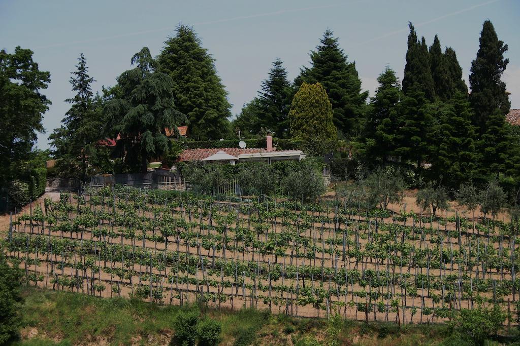 Agriturismo Podere La Fornace Cavriglia Buitenkant foto