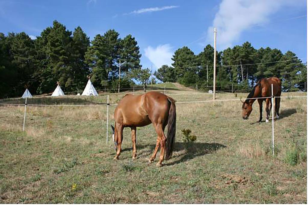Agriturismo Podere La Fornace Cavriglia Buitenkant foto